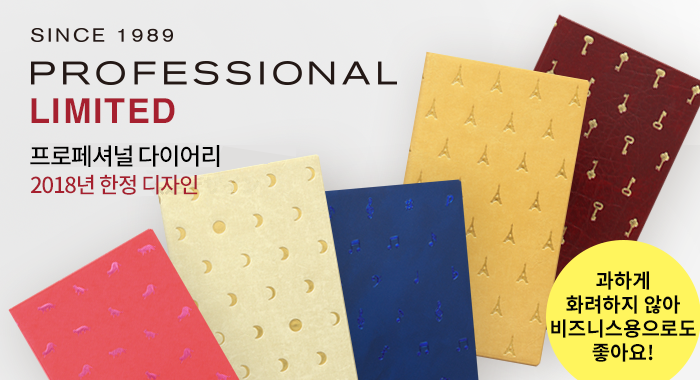 PROFESSIONAL DIARY 프로페셔널다이어리