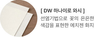 DW 하나이로 와시