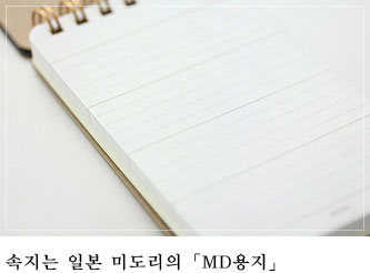 속지는 미도리의 「MD용지」